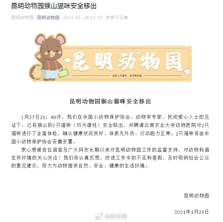 昆明动物园猴山猫咪27日已安全移出