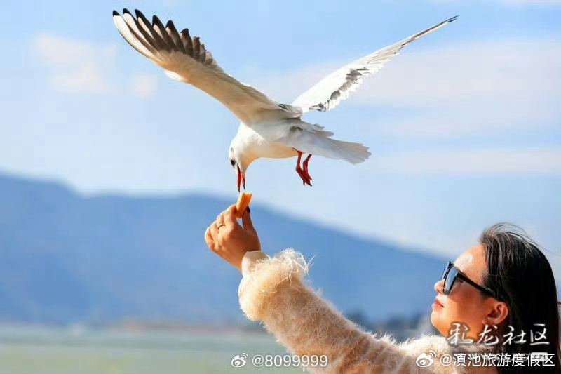 滇池旅游度假区