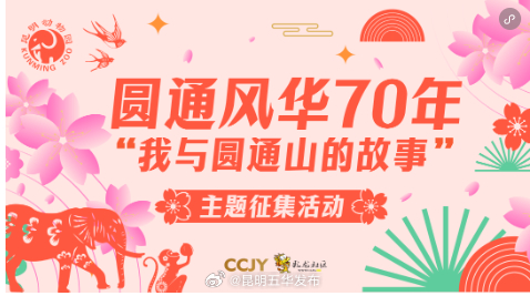 圆通风华70年，昆明动物园征集活动开始啦