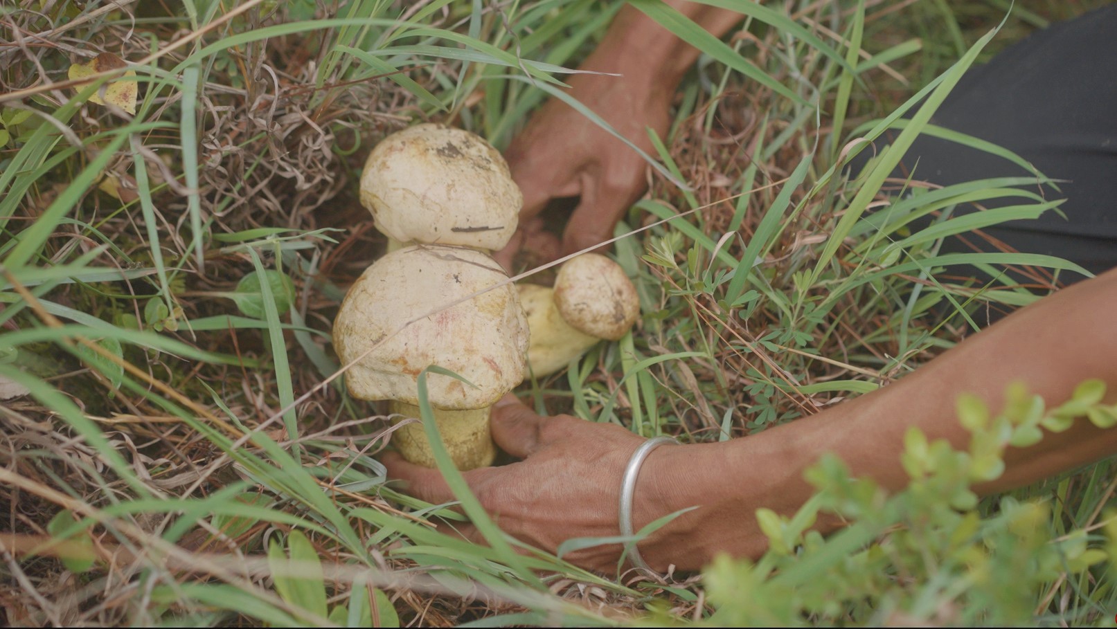 云南省文化和旅游厅