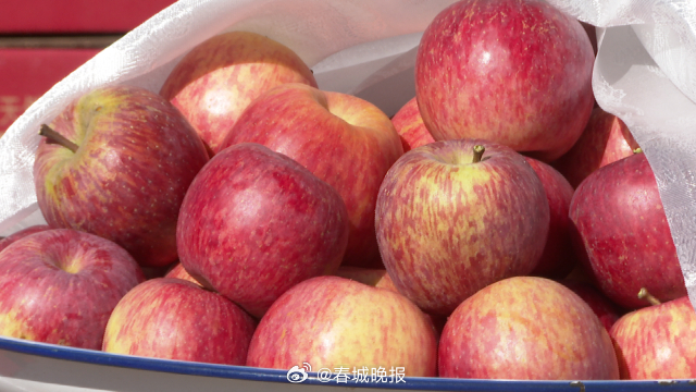 富裕美丽之城 和谐香格里拉 ｜当尼西情舞遇上尼西苹果……_http://www.mainten.cn_ycb_第5张