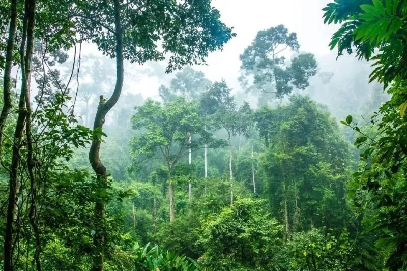 西双版纳傣族自治州人民政府