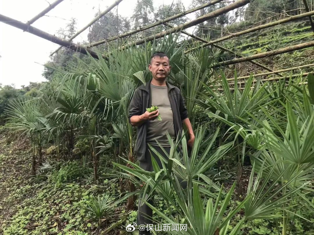 保山新闻网