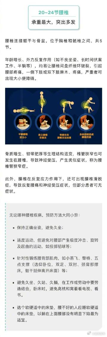 人脊柱各部位有哪些弱点_http://www.mainten.cn_ycb_第6张
