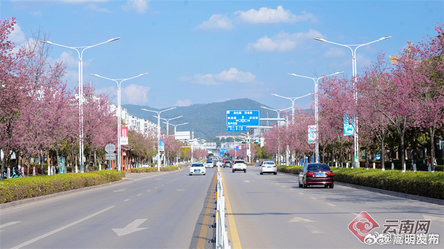 嵩明发布