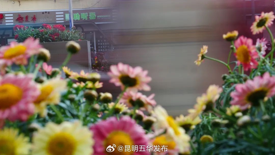昆明五华发布