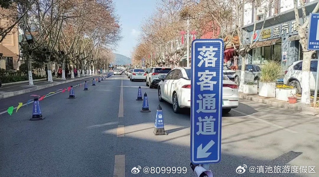 观鸥“寒假潮”来了！昆明开放34个观鸥停车场 