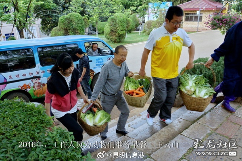 昆明信息港微博