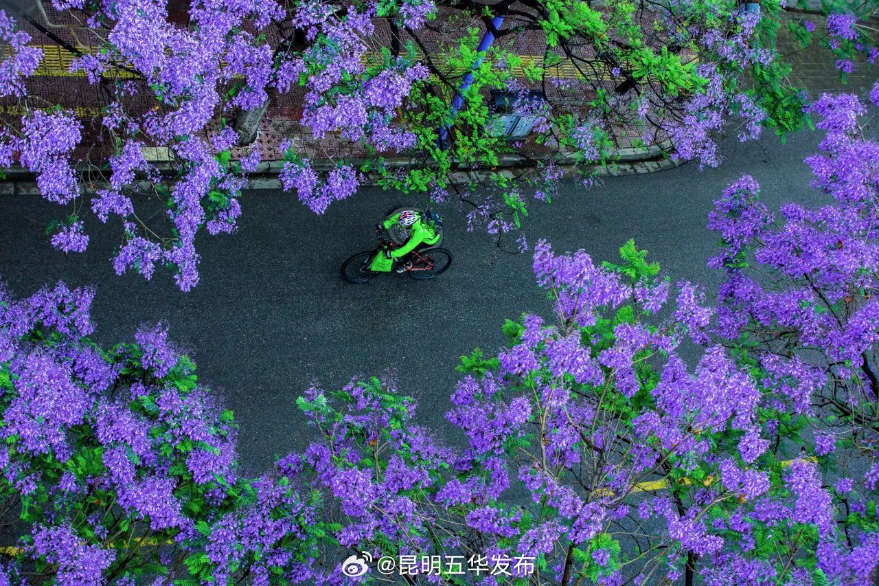 昆明五华发布