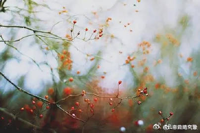 云南省未来24小时天气预报