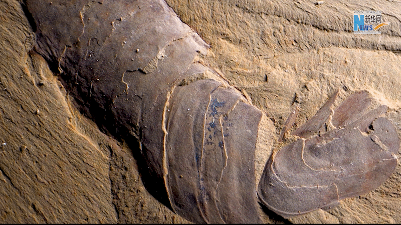 云南省文化和旅游厅