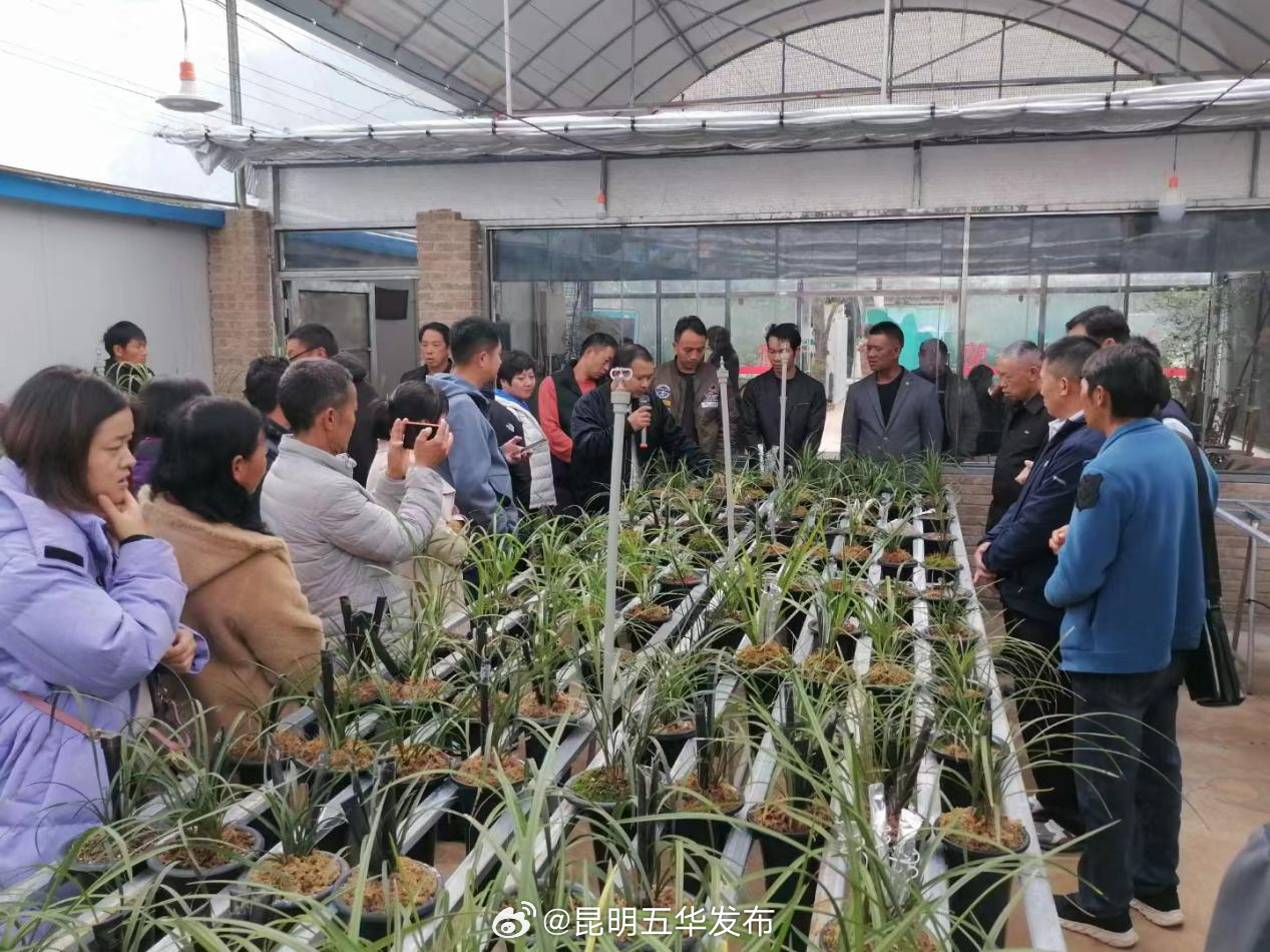 昆明五华发布