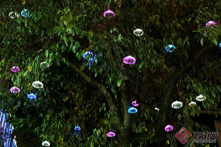 云南省文化和旅游厅