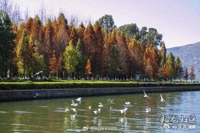 滇池周边生态湿地公园_http://www.mainten.cn_ycb_第1张