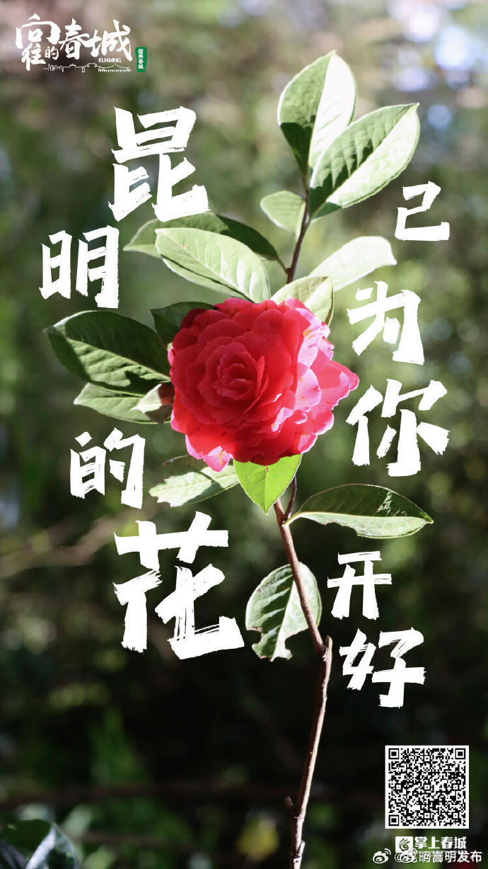 嵩明发布