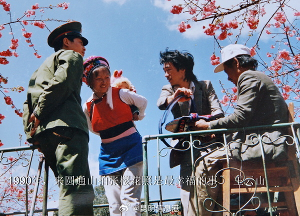 昆明信息港微博