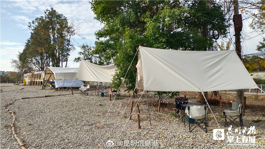 昆明信息港微博