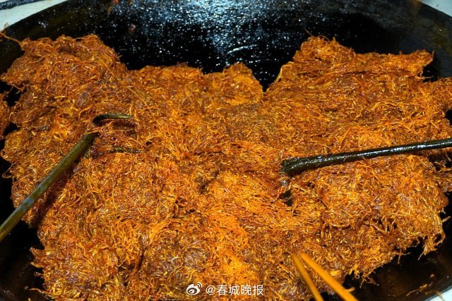 春城晚报