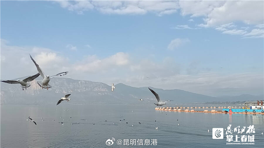 昆明信息港微博