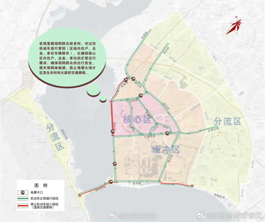 观鸥季期间海埂片区实行交通管控_http://www.mainten.cn_ycb_第2张