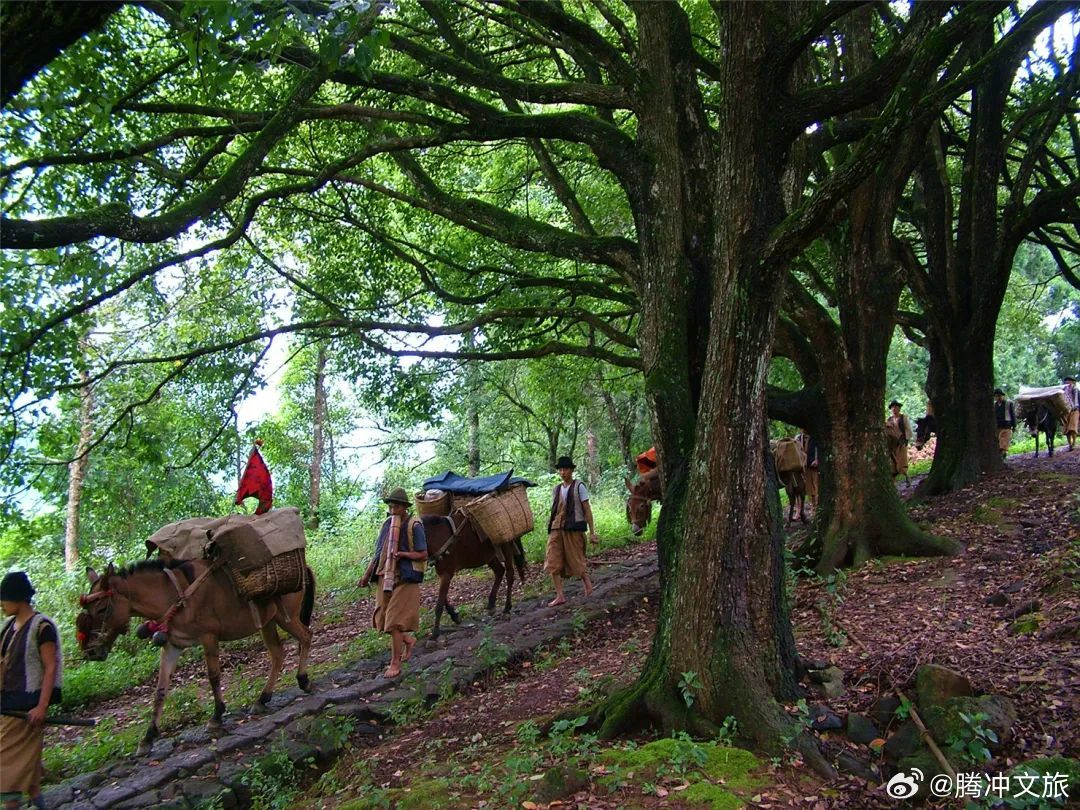腾冲文旅