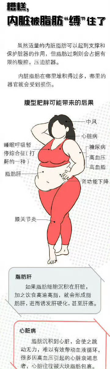 脂肪为什么盯上肚子_http://www.mainten.cn_ycb_第3张