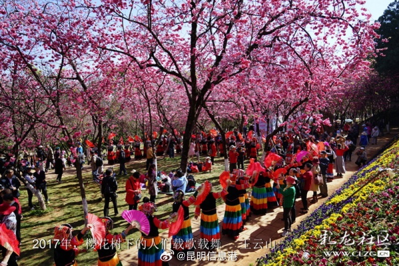 昆明信息港微博