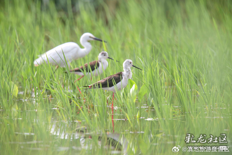 滇池旅游度假区