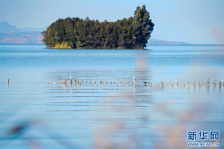 云南省文化和旅游厅