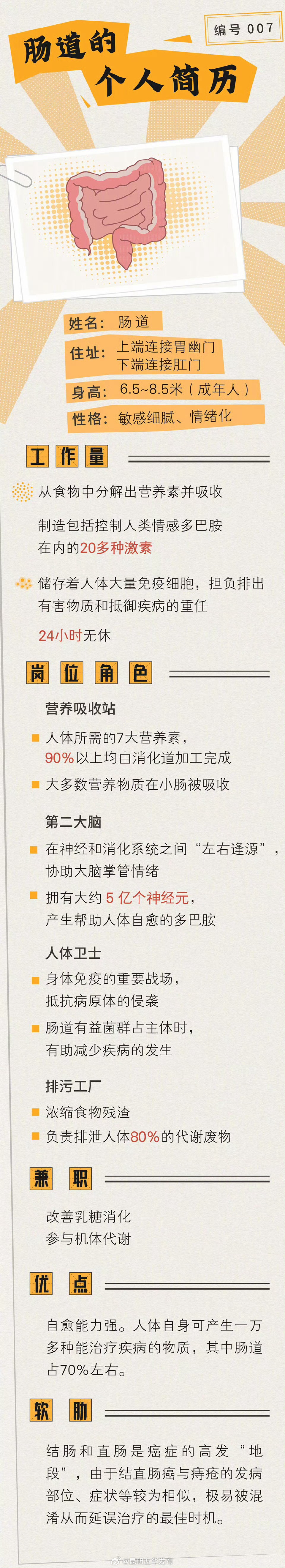 昆明五华发布