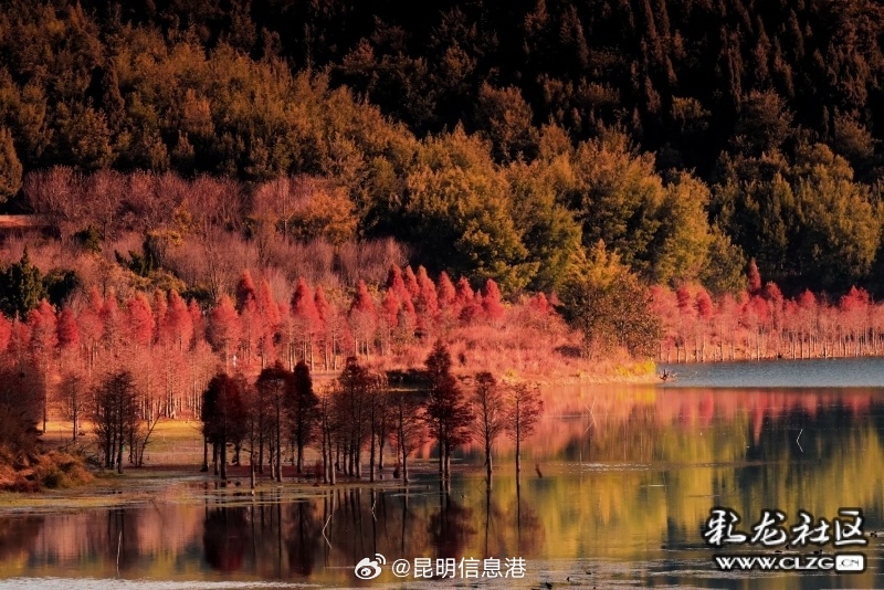 昆明信息港微博