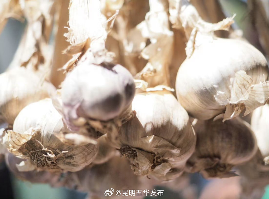 怎么腌翠绿不发黄的腊八蒜_http://www.mainten.cn_ycb_第1张
