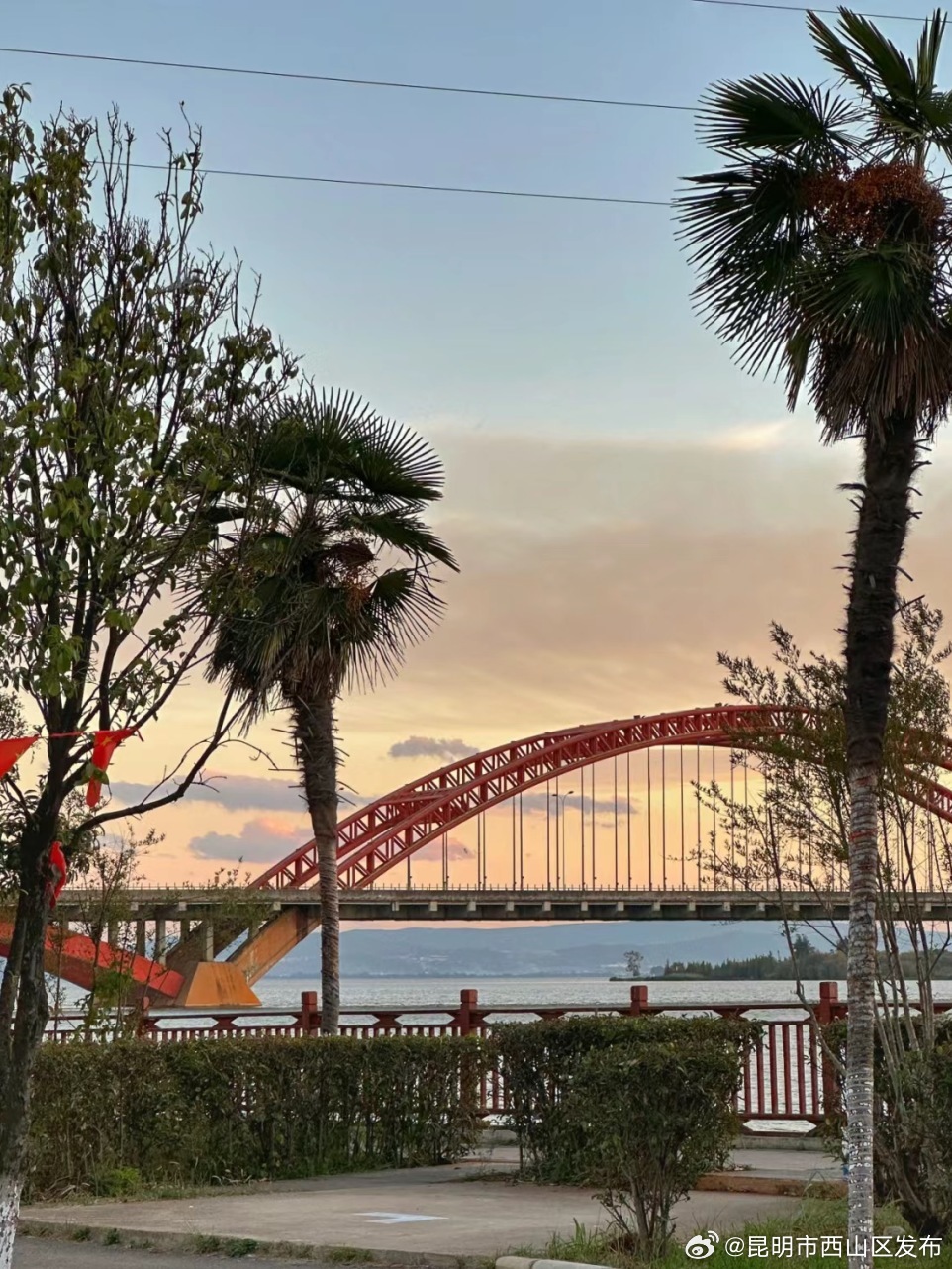 昆明市西山区发布