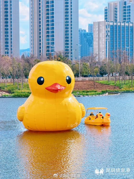 昆明信息港微博