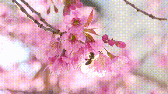 滇池旅游度假区