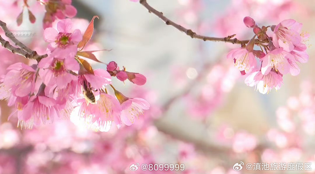 滇池旅游度假区