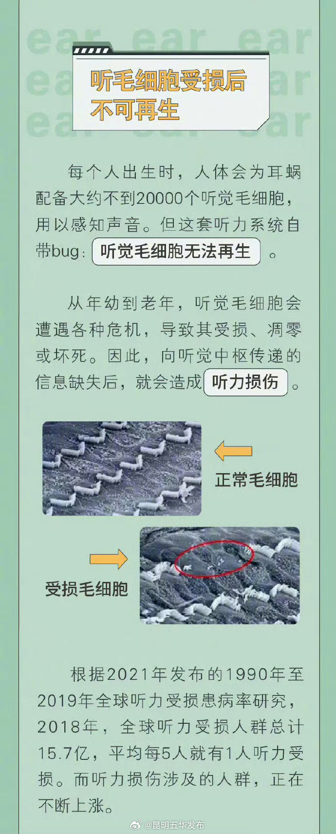 昆明五华发布