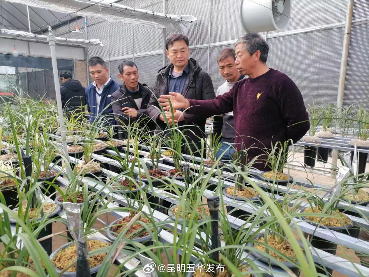 昆明五华发布