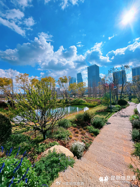 昆明信息港微博