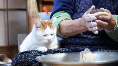 B族维生素藏在哪些食物里