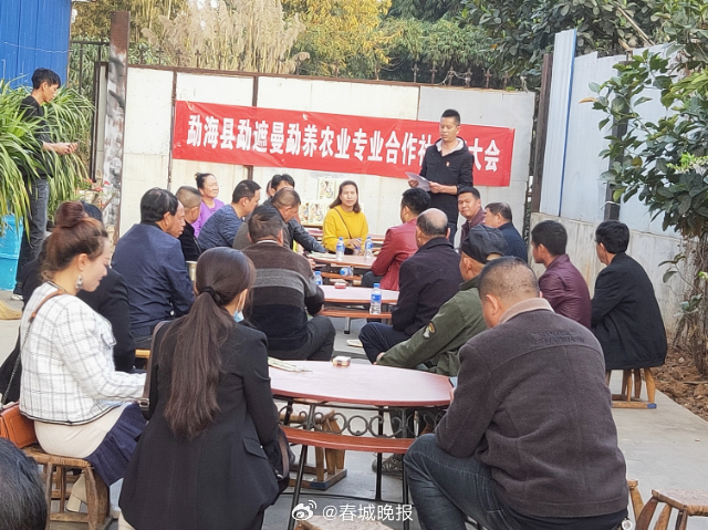 有一种叫云南的生活·一种“象”往的幸福｜勐海县曼勐养村：党组织领办合作社，“一粒米”里说丰年_http://www.mainten.cn_ycb_第6张