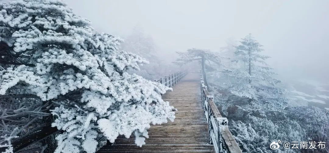 昆明轿子山迎来2024年第一场雪_http://www.mainten.cn_ycb_第3张