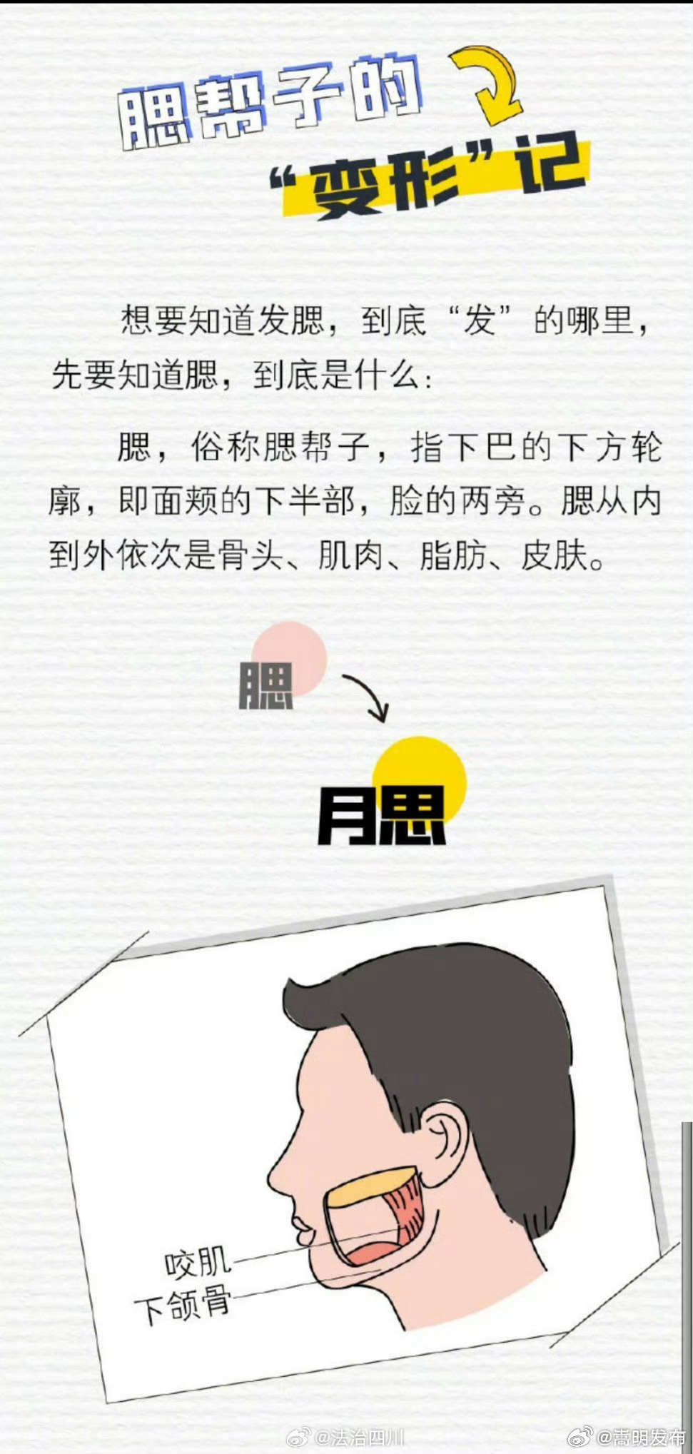 脸越来越大可能是发腮了_http://www.mainten.cn_ycb_第3张