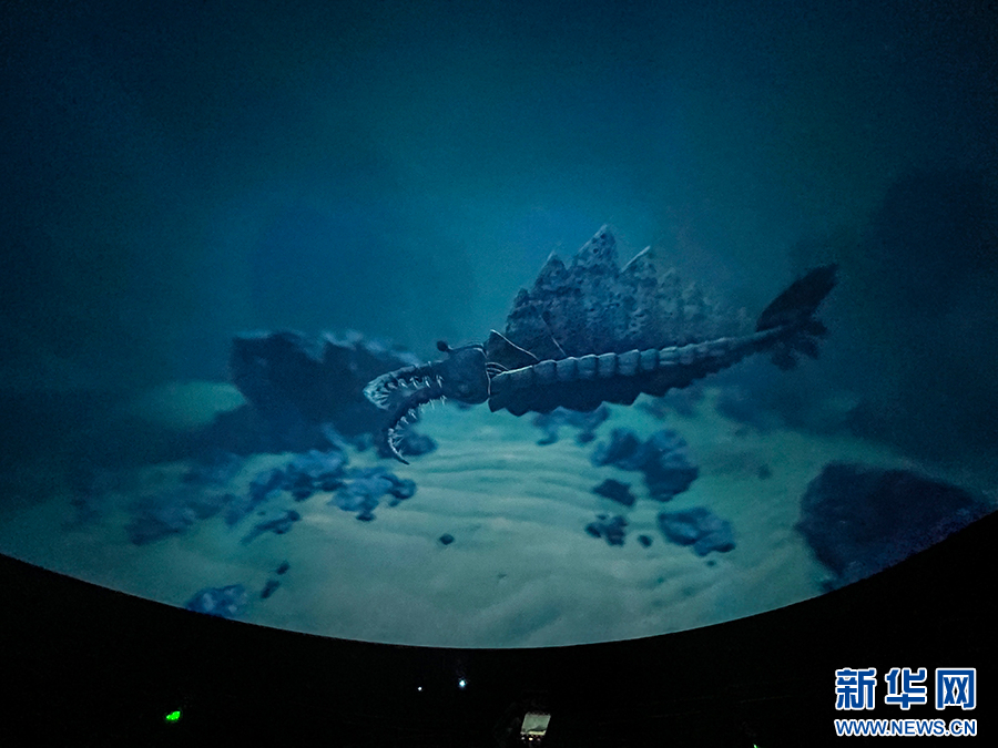 云南省文化和旅游厅