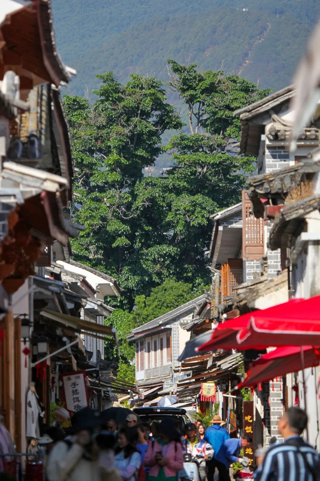 云南省文化和旅游厅