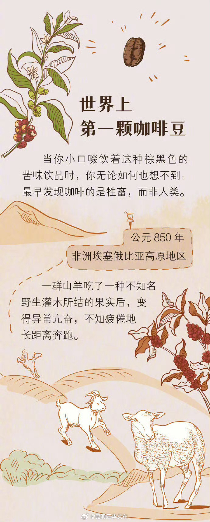 昆明五华发布