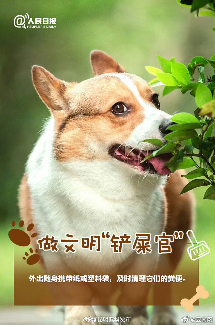 昆明五华发布