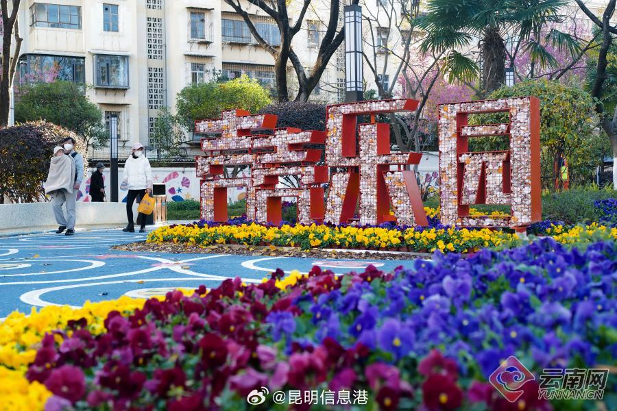 昆明信息港微博