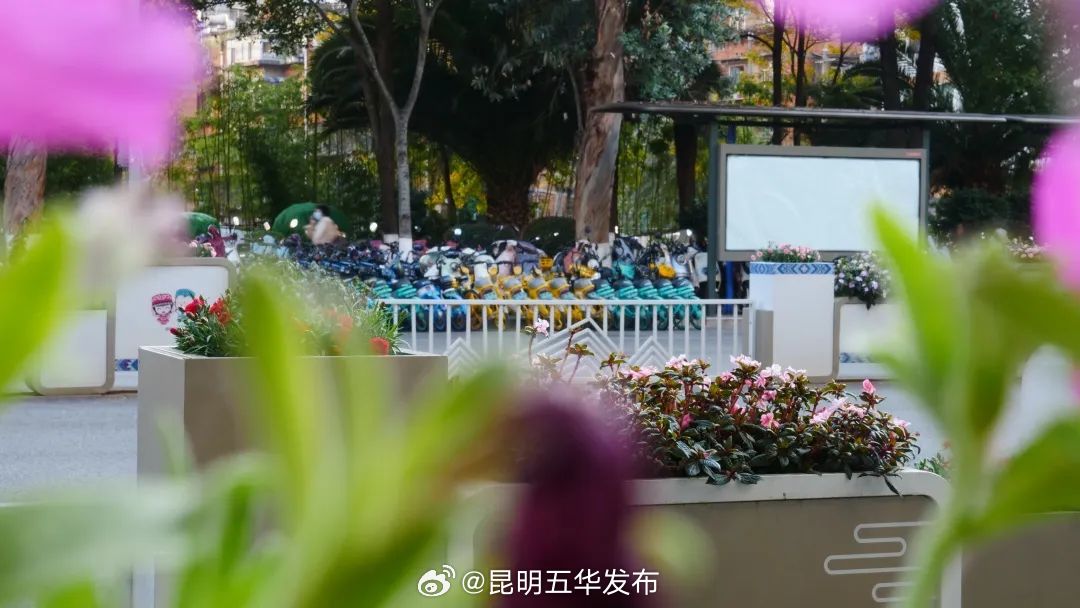 昆明五华发布