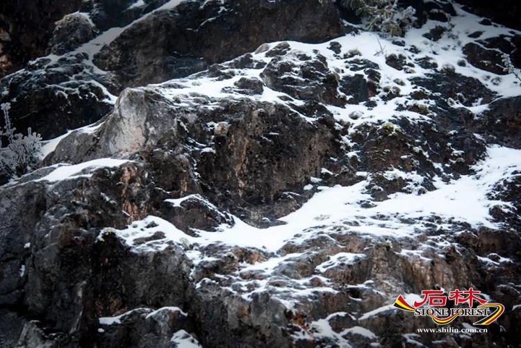 石林旅游网